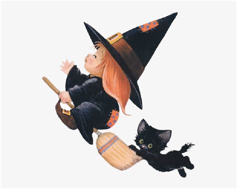 Baby cat witch where to observe